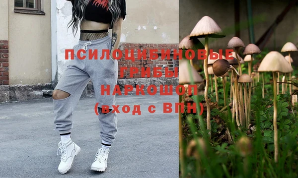 дживик Нефтегорск