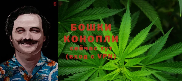 дживик Нефтегорск