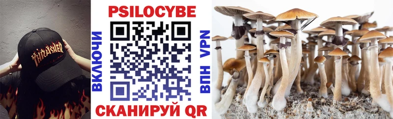Псилоцибиновые грибы мухоморы  наркошоп  Жуковский 