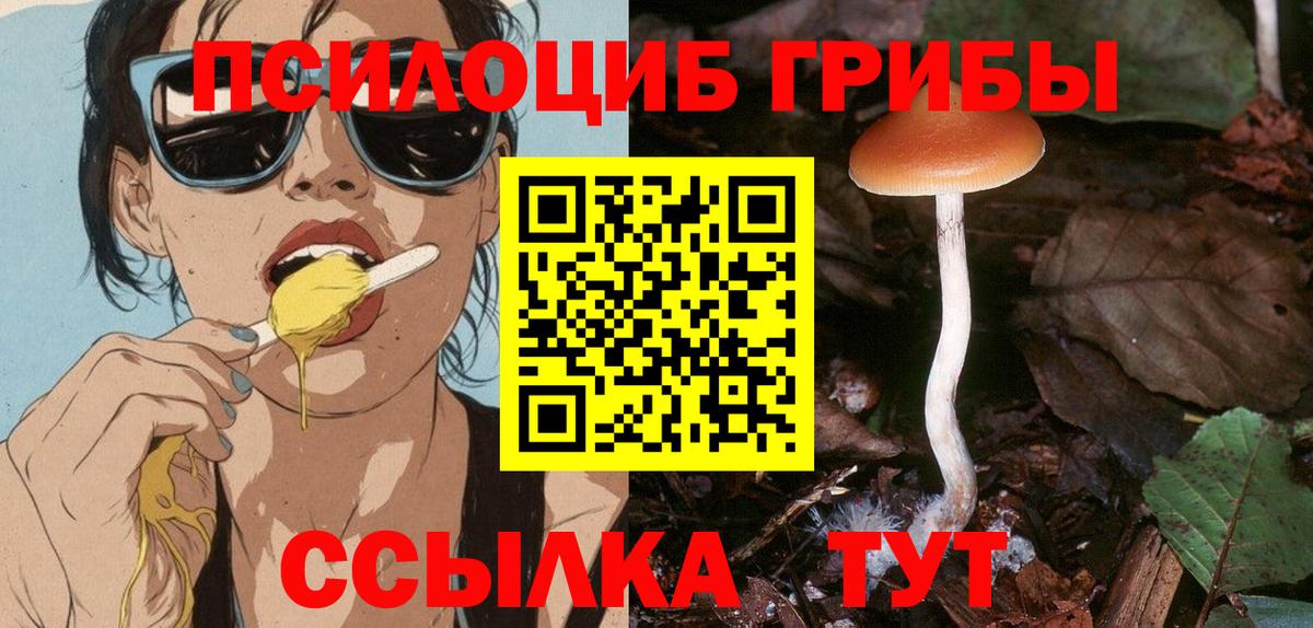 Псилоцибиновые грибы ЛСД Жуковский